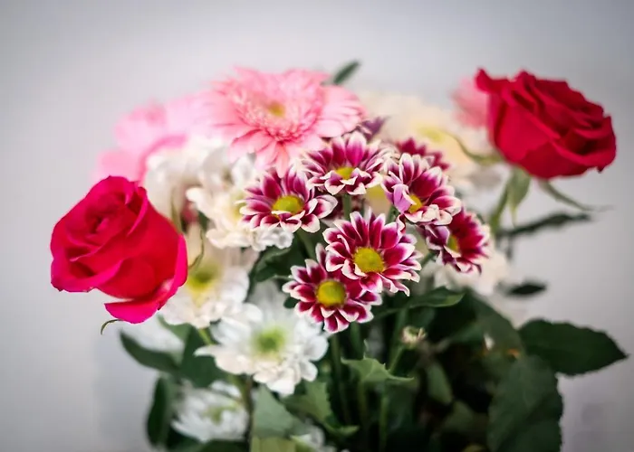 公寓 Brand New Location Hot Tub