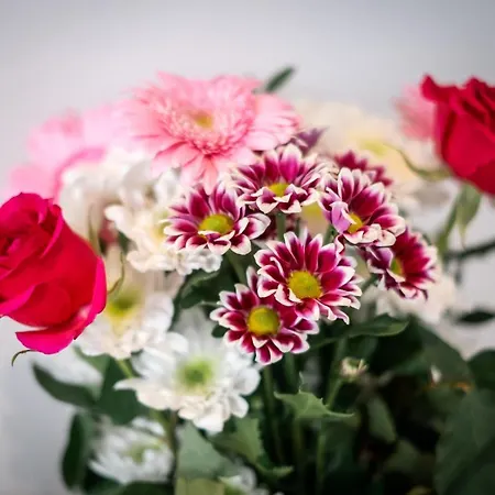 Appartement Brand New Location Hot Tub